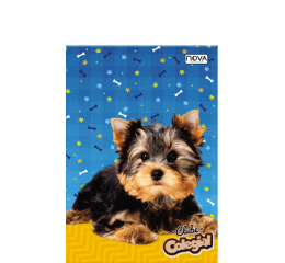 CAD.C.D.COST.1/4 96FLS CLUBE COLEGIAL 559-6 C/5